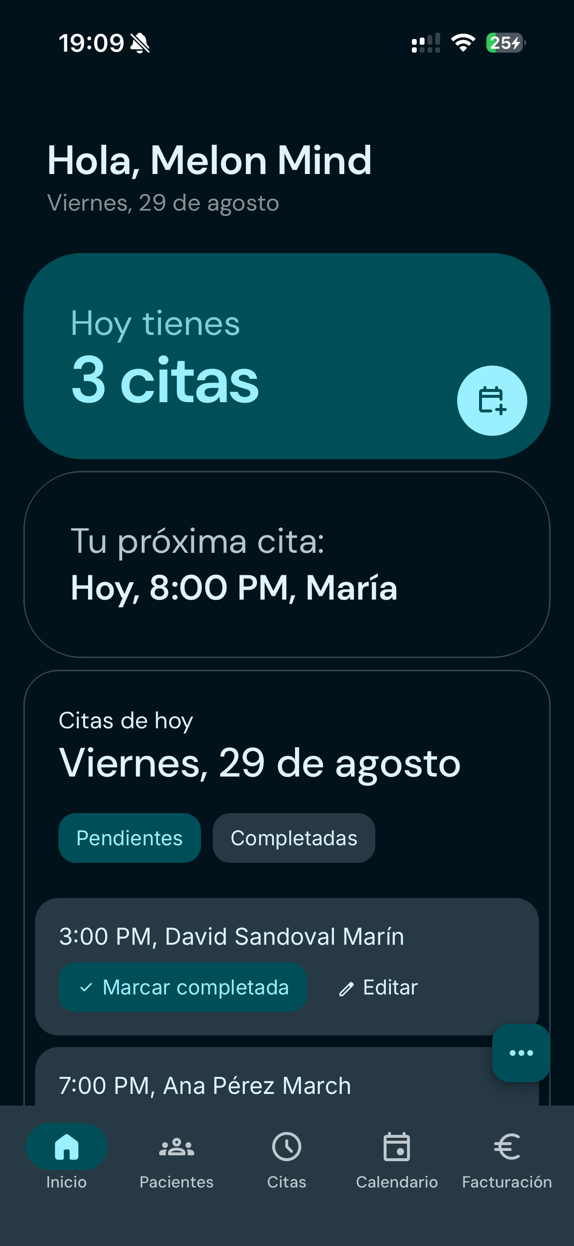 Melon Mind - Vista de la interfaz