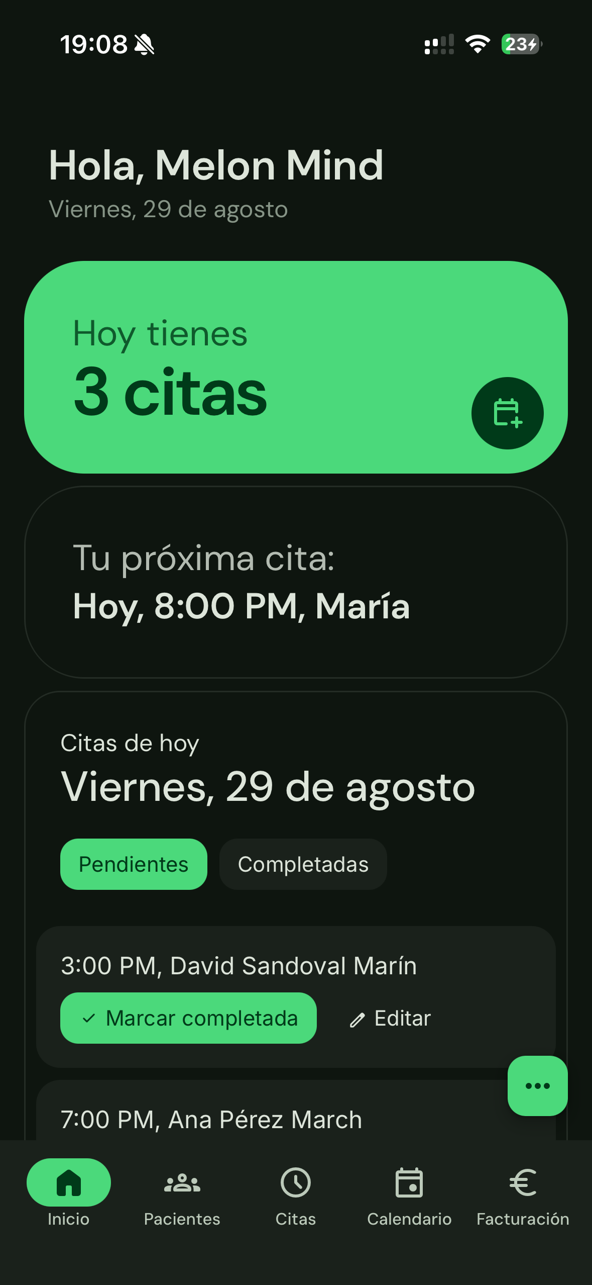 Melon Mind - Vista de la interfaz