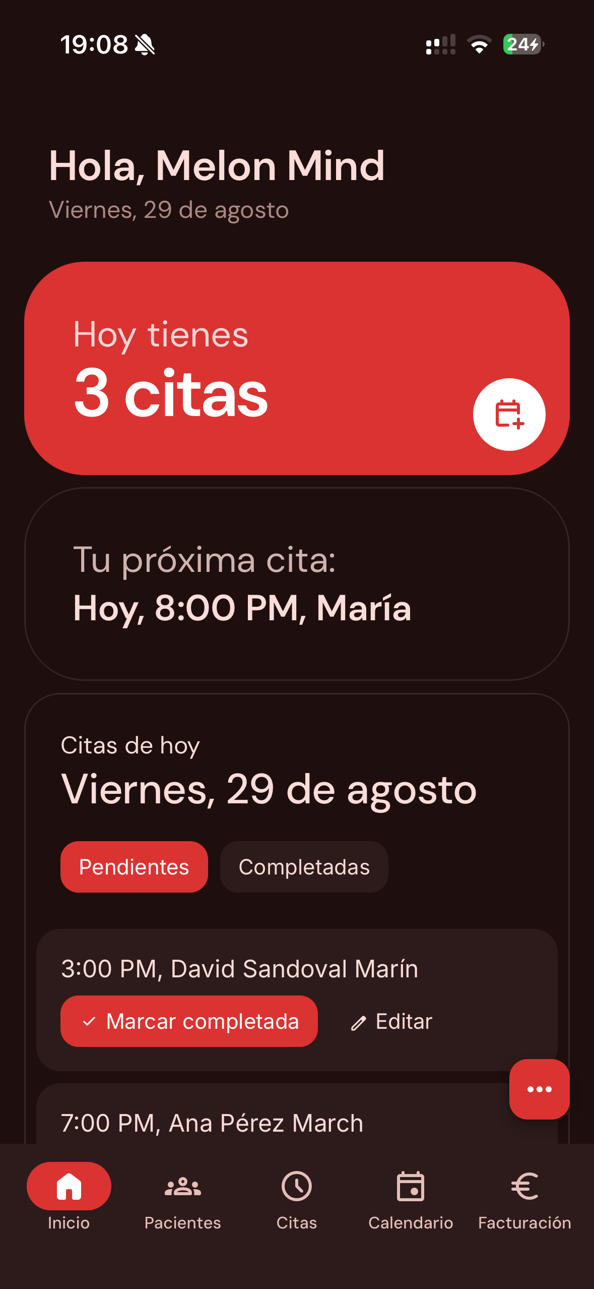 Melon Mind - Vista de la interfaz