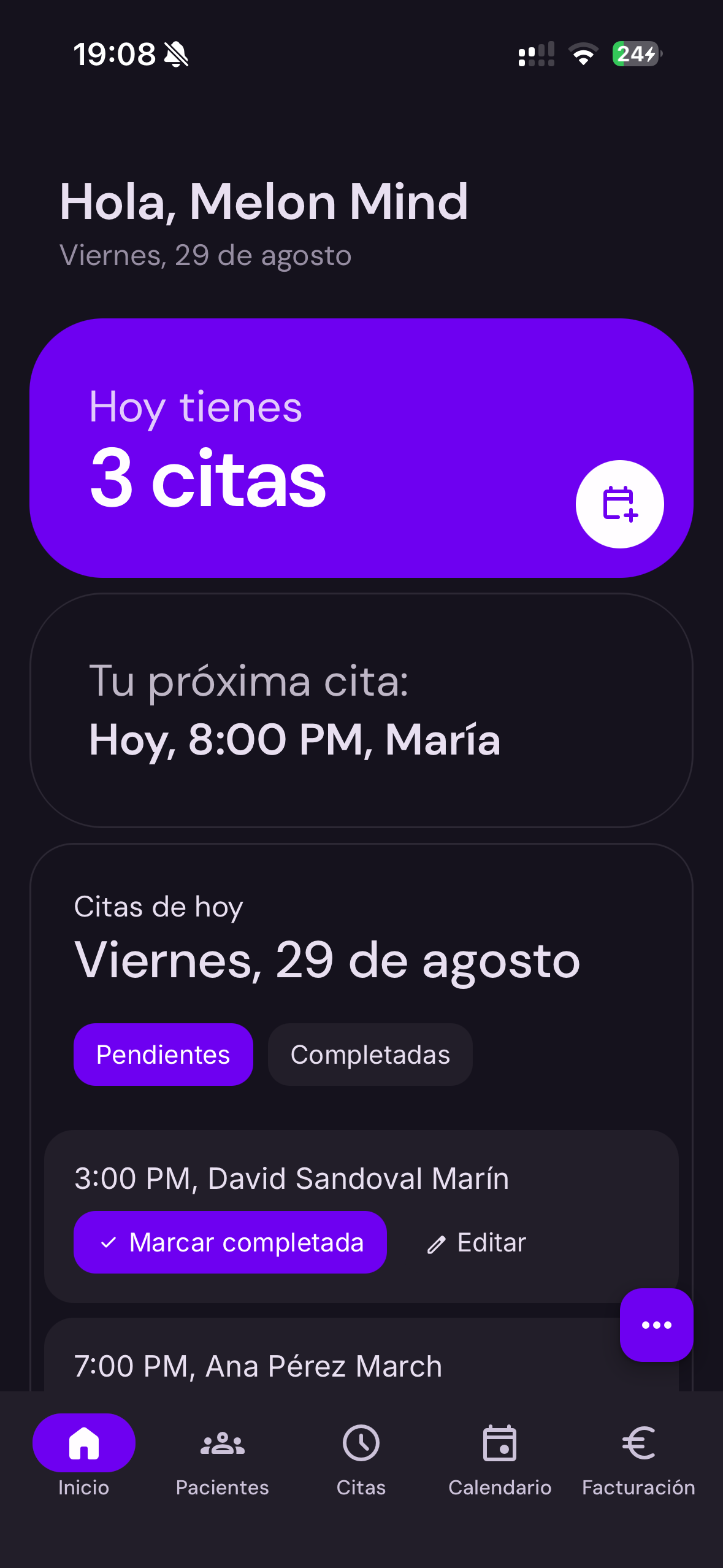 Melon Mind - Vista de la interfaz
