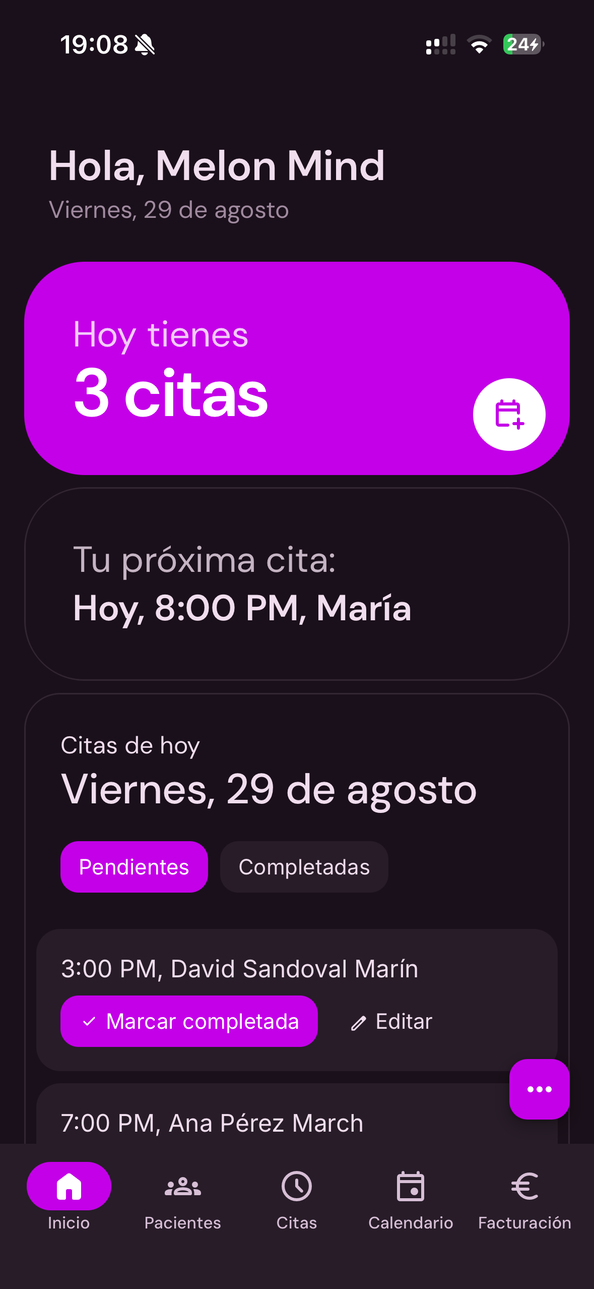 Melon Mind - Vista de la interfaz