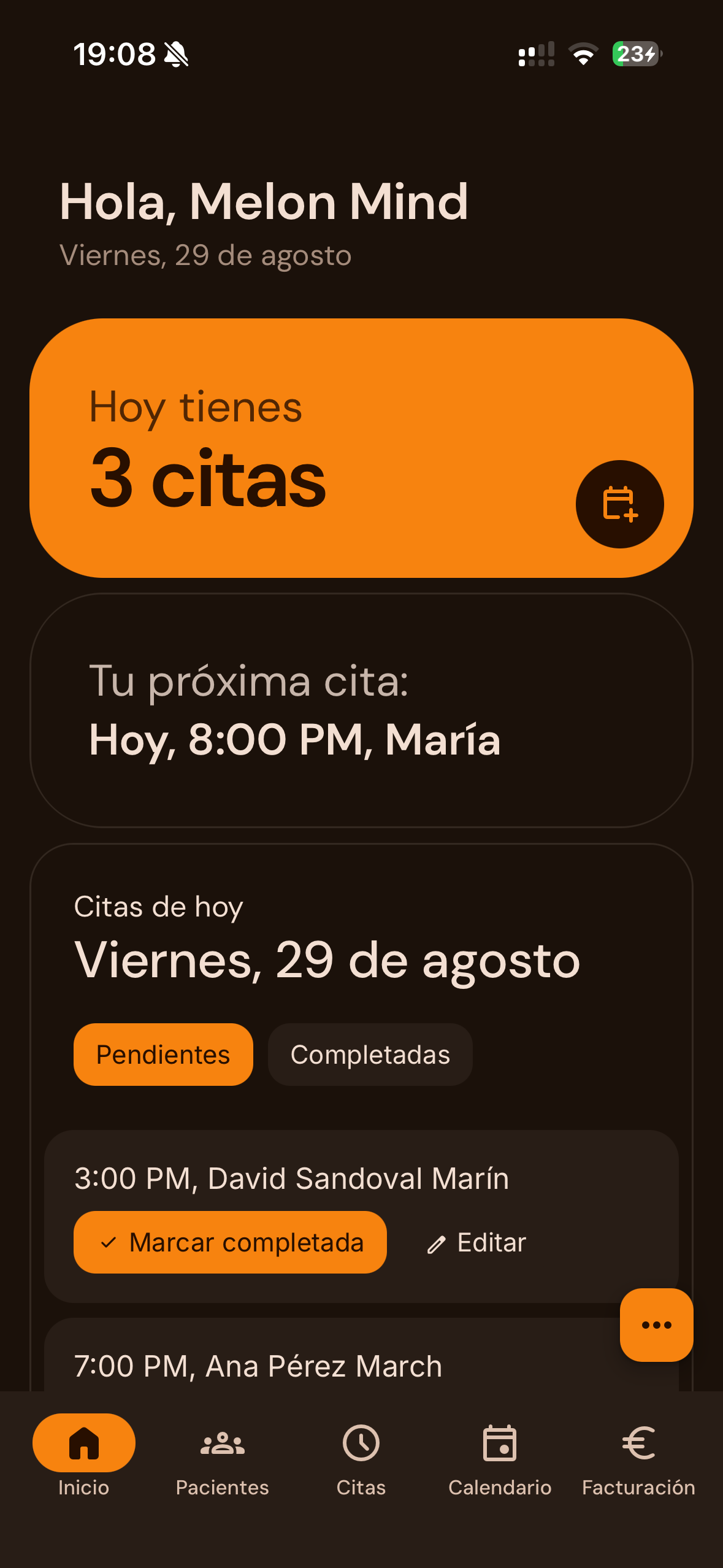 Melon Mind - Vista de la interfaz